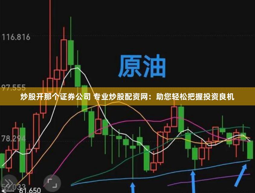炒股开那个证券公司 专业炒股配资网：助您轻松把握投资良机